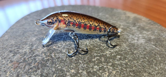 Dusky’s Little Diver